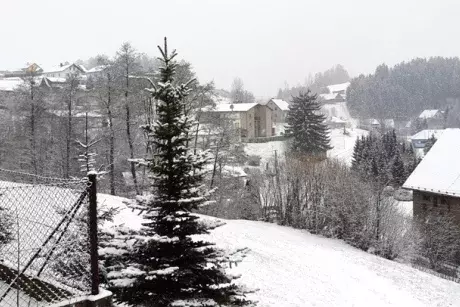 Zima - předjaří 2020