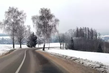 Zima - předjaří 2020