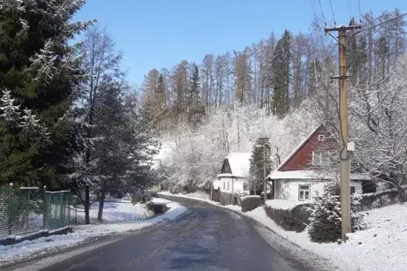 Zima - předjaří 2020