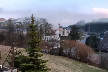 Zima - předjaří 2020