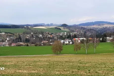 Zima - předjaří 2020