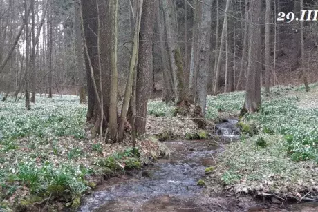 Zima - předjaří 2020