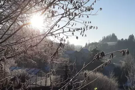 Bílé vánoce, Silvestr, Nový rok?