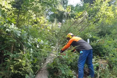 Zásahová jednotka v akci