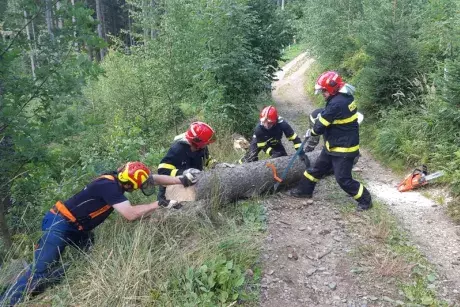 Zásahová jednotka v akci