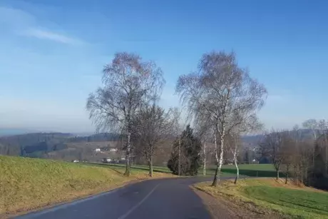 Bílé vánoce, Silvestr, Nový rok?