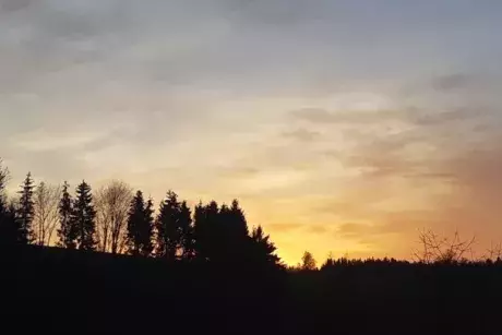 Bílé vánoce, Silvestr, Nový rok?