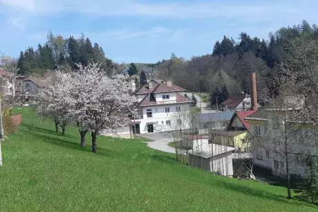 Nekoř březen –⁠ květen 2023