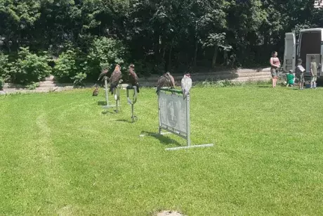 Dětský den 9.6.2024