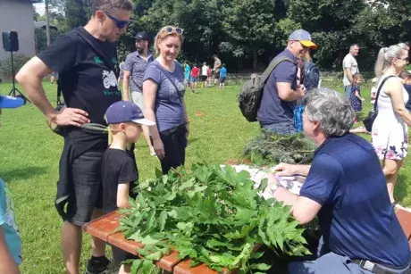 Dětský den 9.6.2024