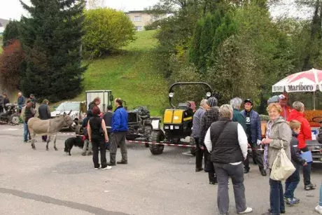 Nekořský sprint 2014