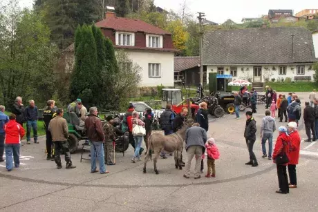 Nekořský sprint 2014