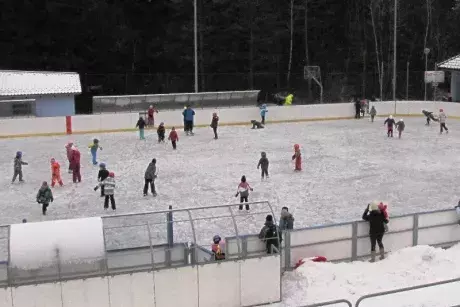 Bruslení ZŠ 20.1.2016