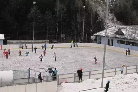 Bruslení ZŠ 20.1.2016