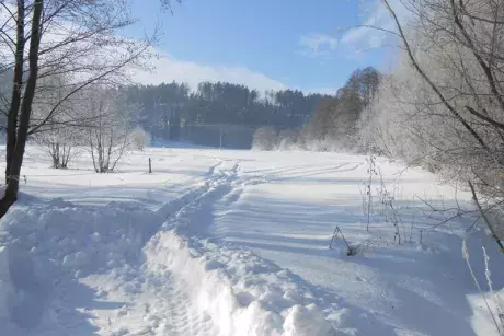 Zimní Nekoř fotoaparátem R. Šrolera