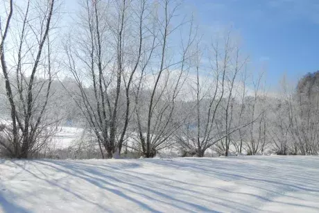 Zimní Nekoř fotoaparátem R. Šrolera