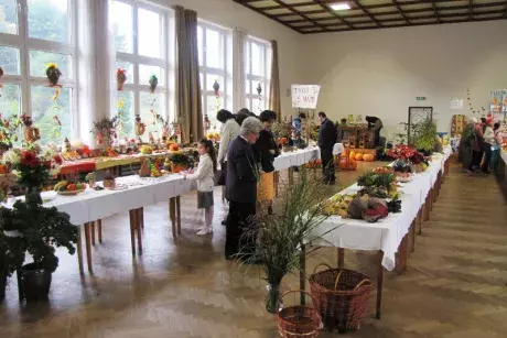 Podzimní výstava 2014