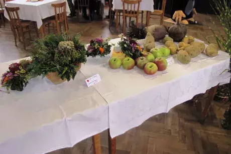 Podzimní výstava 2014