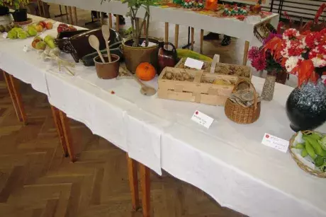 Podzimní výstava 2014