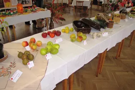 Podzimní výstava 2014