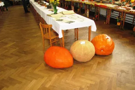 Podzimní výstava 2014