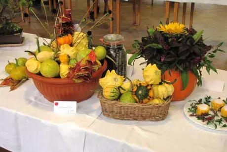 Podzimní výstava 2014