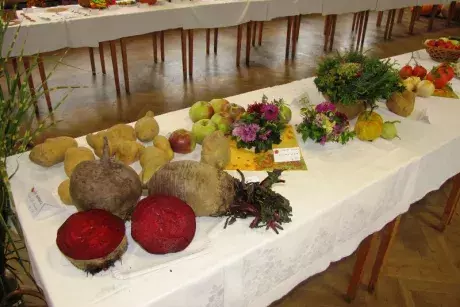 Podzimní výstava 2014