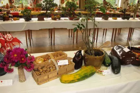 Podzimní výstava 2014