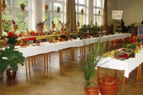 Podzimní výstava 2014