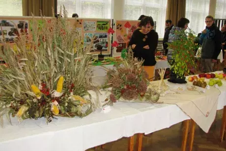 Podzimní výstava 2014