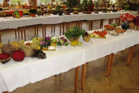 Podzimní výstava 2014