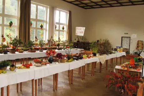 Podzimní výstava 2014