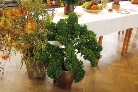 Podzimní výstava 2014