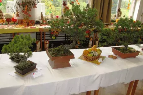 Podzimní výstava 2014