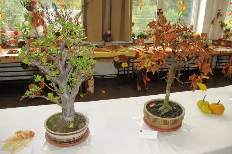 Podzimní výstava 2014