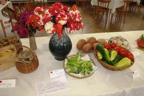 Podzimní výstava 2014