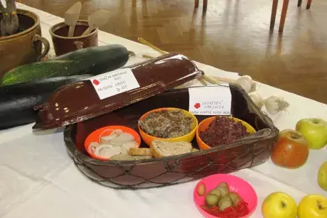 Podzimní výstava 2014