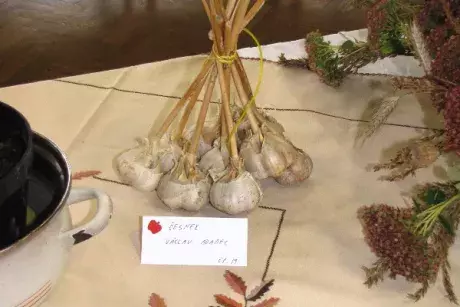 Podzimní výstava 2014