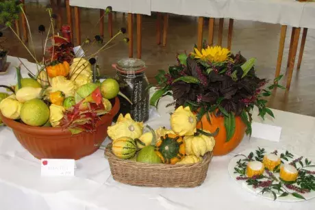 Podzimní výstava 2014