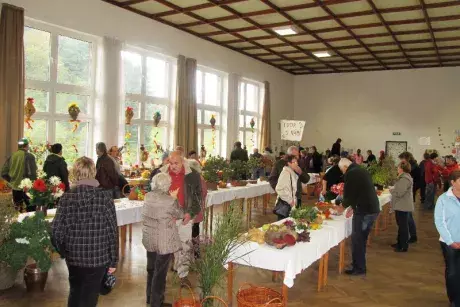 Podzimní výstava 2014