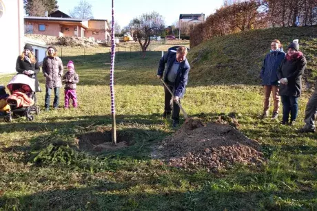 Sázení pamětní lípy 17.11.2018