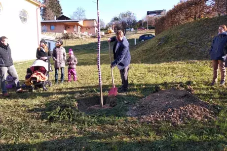 Sázení pamětní lípy 17.11.2018